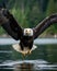 In the background, a bald eagle soars over water and forest. (Generative AI