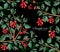 background with barberry