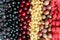 Background of berries of different types and colors.