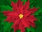 Background with a big red flower in the center. Christmas poster in paper art style. Poinsetia with green and red leaves