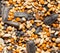 Background of birdseed. close