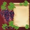 Background with black grapes and old paper