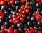 Background of black and red currants. Fresh berries closeup. Top view. Background of fresh berries. Various fresh summer fruits.