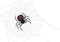 Background with black widow spider.