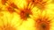 Background of blooming sunflowers