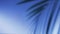 Background blue colored scenery with moving tropical palm leaves shadow.