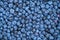 Background Blueberry. completely closed screensaver. Blue berries. Natural