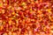 Background of blur colorful texture bokeh for Festival and New year. Game of color. Abstract Christmas orange and yellow backdrop.