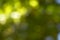 Background bokeh. Abstract green colors. Colorful abstract background.