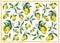 The background of the branches of fresh citrus fruit lemons with green leaves and flowers.