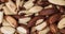 Background from Brazil nuts Bertholletia