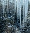 Background of bright transparent icicles.
