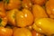 Background - bright yellow fruits of capsicum bell pepper