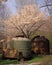 The background of broken and rusty tanks only accentuates the softer beauty of trees in bloom in the foreground