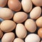 Background of brown eggs on blue background