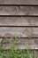 Background brown rustic horizontal board fence with green grass at the bottom vertical image