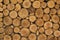 Background of brown stacked tree slices. Large decorative wall from cropped birch logs