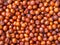 Background of brown-yellow ripe marmalade berries. Winter fruit sweet berries of ziziphus   Jujube  close-up focus in the center