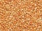 Background buckwheat, buckwheat, buckwheat grain
