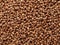 Background of buckwheat grains, close-up, buckwheat kernels, dietary