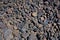 Background of burnt colored blue, violet and red stones in field of volcanic bombs.