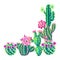 Background with cacti and flowers.