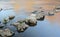 Background and calm picture with stones, which are arranged one behind the other in the very calm water and form a diagonal path,