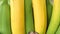 Background Cavendish banana green and yellow punctuate color