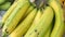 Background Cavendish and Pisang Awak banana on sale at Thailand