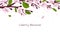 Background with cherry blossom. A branch with cherry blossoms isolated on a white background. Japanese sakura. Vector