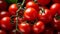 Background of cherry tomatoes
