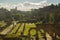 Background  of cityscape, view of the ruins of the Roman Forum from the height of Capitoline Hill