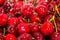 Background with close up of ripe cherries and freezed water drops