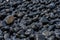 Background closeup of cobble stones at Cobble Beach