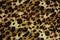 Background cloth as a leopard