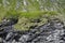 Background of coarse layered stone rocks, full frame. Rough stone texture of mountains. The stones are covered with moss