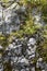 Background of coarse stone rocks, full frame. Rough stone texture of mountains. The stones are covered with moss