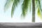 Background coconut tree and plank wood, coconut palm tree background blurred and slats wooden texture floor plank table empty
