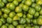 Background of a collection of local green oranges from Indonesia