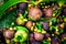 Background of collection of ripe mangosteen
