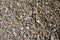 Background Color Gravel Texture