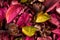 Background of colored aromatic potpourri leaves