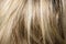 Background of colored hair.Split ends.