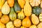 Background of colorful ornamental fall gourds