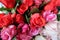 Background with colorful roses brilliant for special days part 37