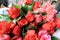 Background with colorful roses brilliant for special days part 61