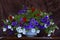 Background with colourful seaside petunia, calibrachoa parviflora