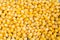 Background of cooked yellow corn grains