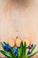 Background with cookies the shape of Easter eggs in the blue snowdrops on a wooden chopping board