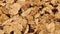 Background of corn flakes breakfast cereals close up